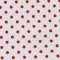 Popelín estampado (010)