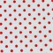 Popelín estampado (010)