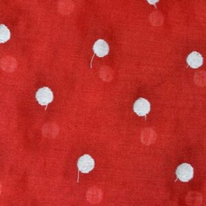 Batista Plumeti (005)