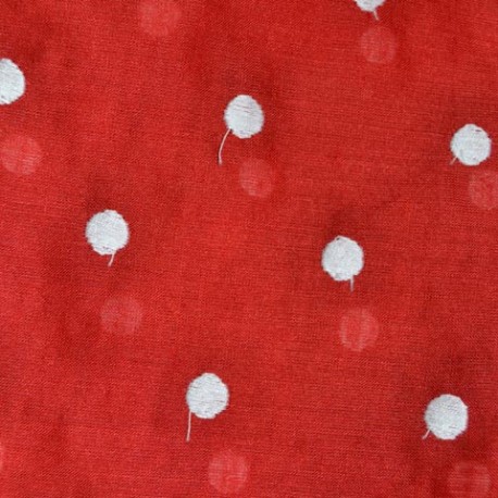 Batista Plumeti (005)