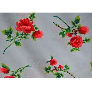 Koshibo estampado (001)